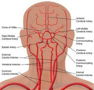 Pain relief and Treatment of Migraine and Headache sufferers by chiropractors of San Diego Chiropractic and Massage, we are located in the Mira Mesa